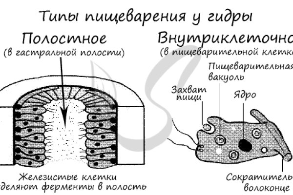 Кракен ссылка орион