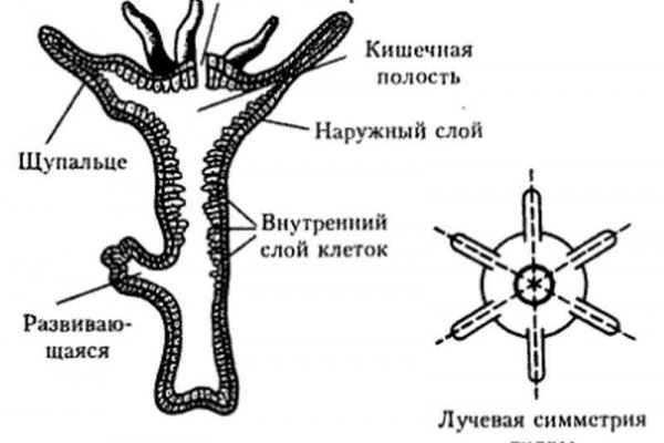 Solaris com зеркало