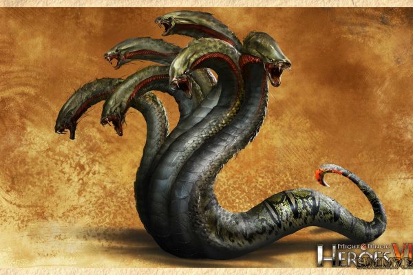 Где найти ссылку kraken