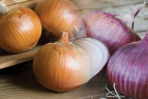 Сайт продажи нарко веществ гидра