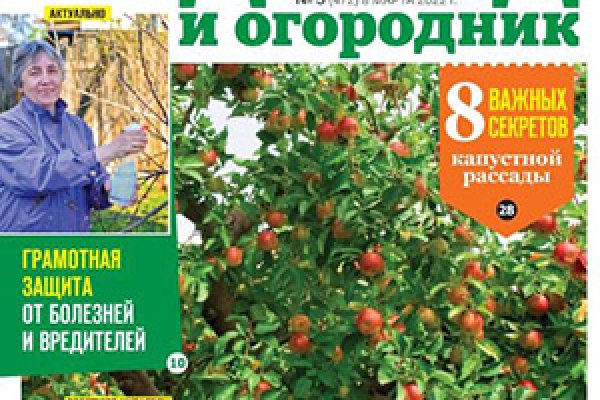 Когда заработает солярис даркнет