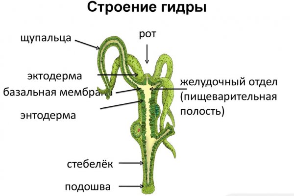 Kraken 15at сайт